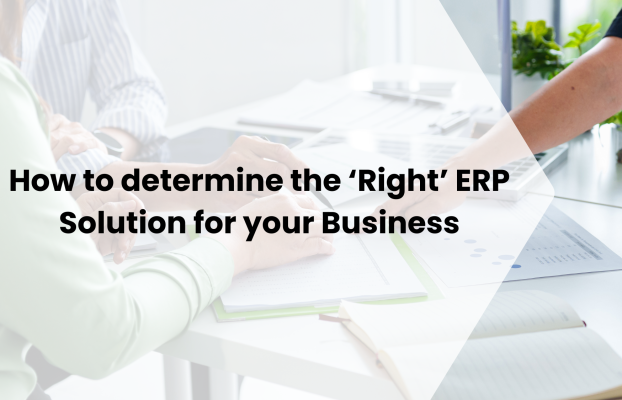 How to determine the ‘Right’ ERP Solution for your Business