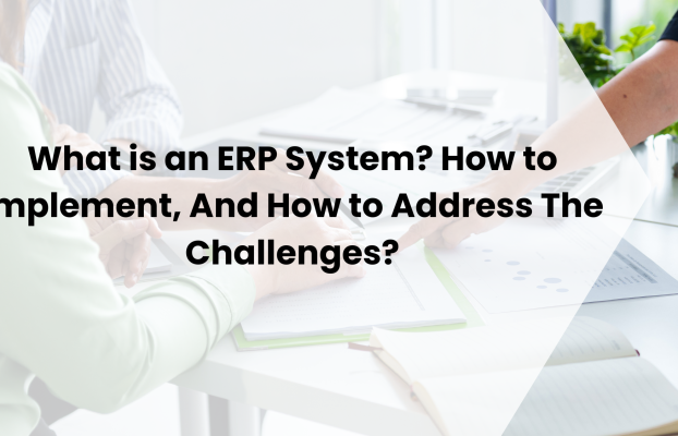 What is an ERP System? How to Implement, And How to Address The Challenges?